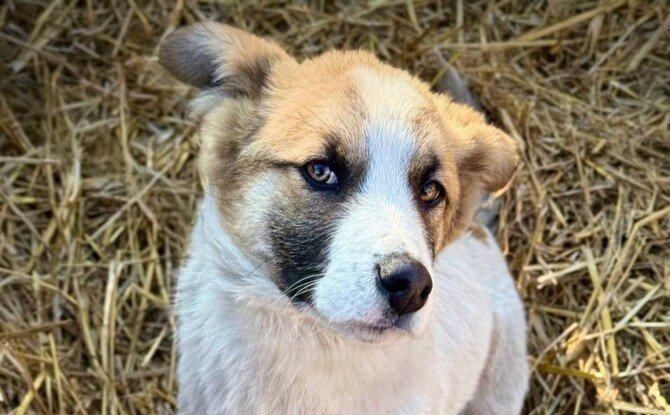 Mulțumită ție, am ajuns la jumătate din colecție!