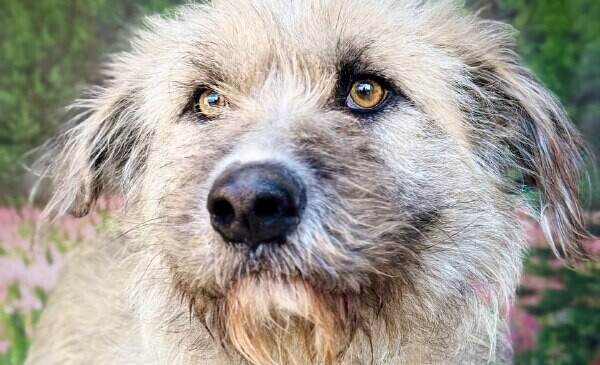 Наша искренняя благодарность за помощь!