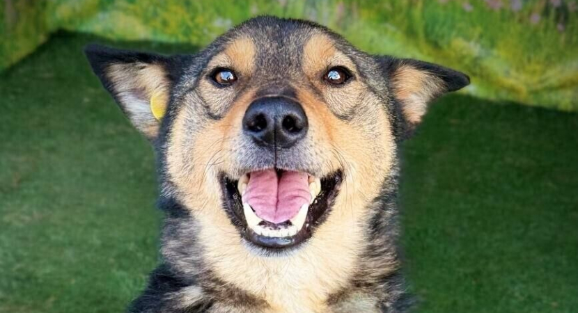 Большое Вам спасибо!