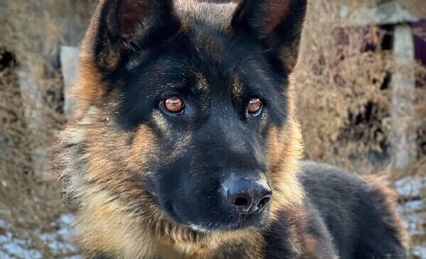 Огромное Вам спасибо!