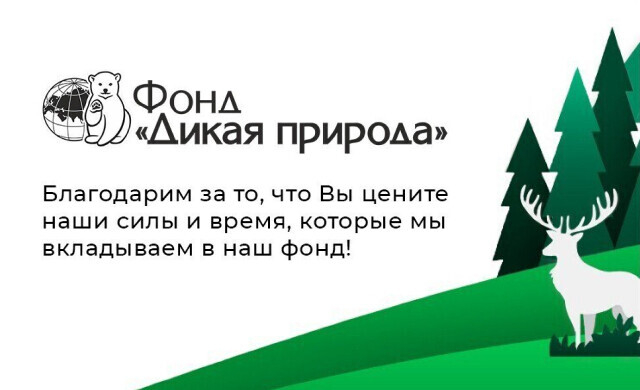 Поддержать проект