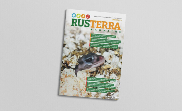 Журнал «RusTerra magazine»