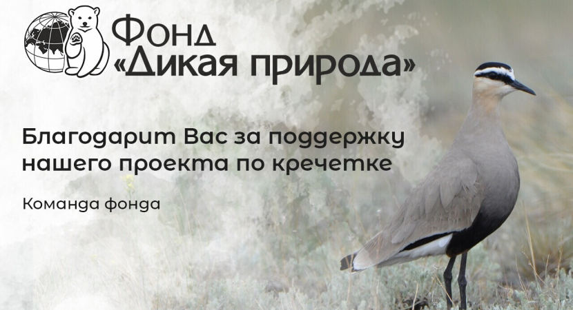 Публичная благодарность за участие в проекте