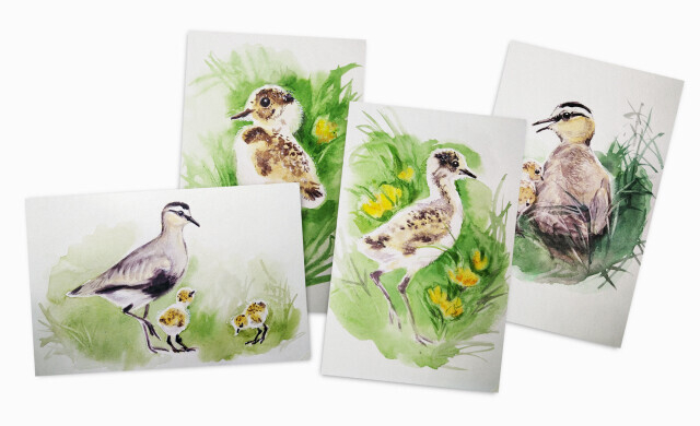 Набор из 4 открыток "Кречётка с птенцом" от художника-анималиста Татьяны Петровой