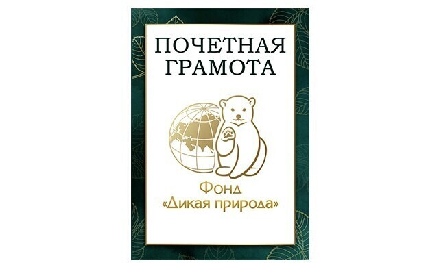 Почетная грамота