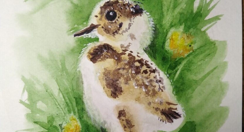 Картина интерьерная "Птенец кречётки" 2024 г. - со скидкой!