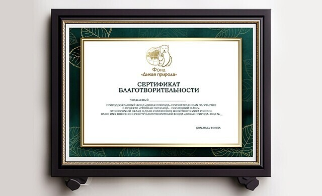 Сертификат спонсора