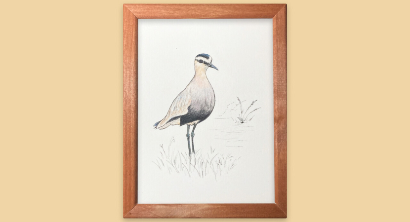 Картина интерьерная "Кулик кречетка"