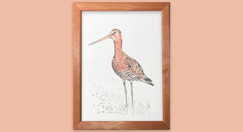 Картина интерьерная "Кулик большой веретенник"