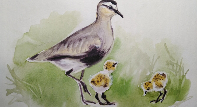 Картина интерьерная "Кречётка с птенцом" 2024 г.