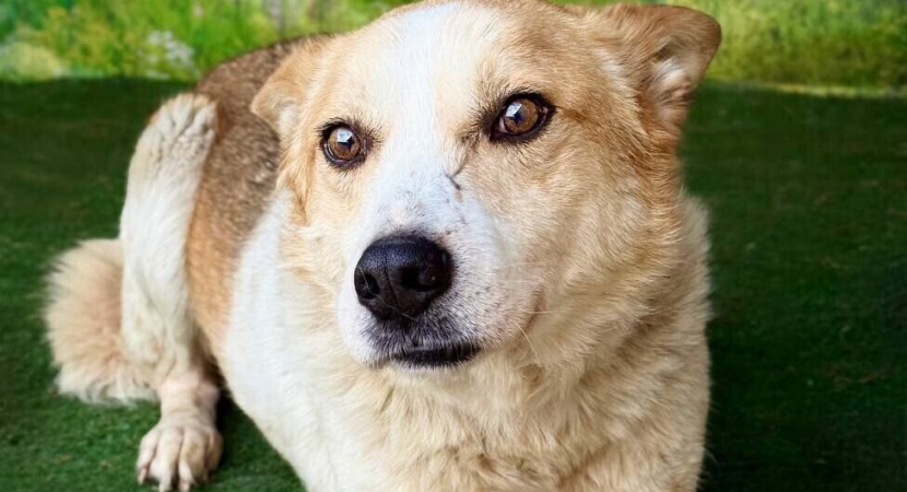 Искренне Вас благодарим!