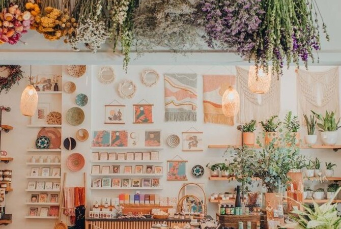 Авторский гайд по пересадке комнатных растений